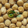 Good Quality Canned Mushrooms Vegetables